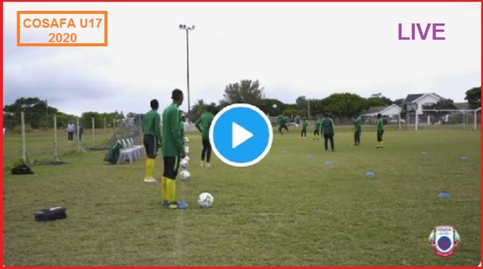 How and Where to Watch Mali vs Zambia Live at AFCON 2025 on beIN SPORTS